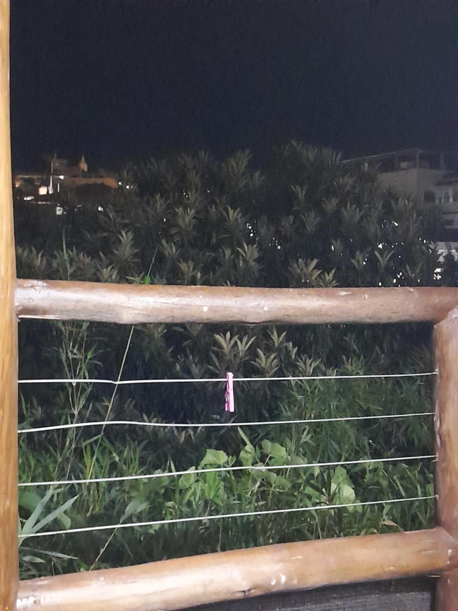 Chale Bambu3 Daire Cunha Dış mekan fotoğraf